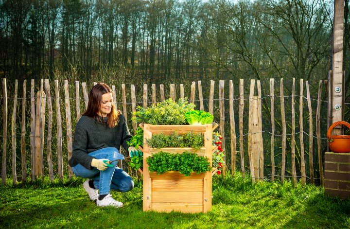 WESTMANN Hochbeet Premium